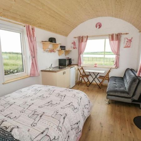 The Beautiful Lazy Llama Shepherd Hut Farm Stay Баллішаннон Екстер'єр фото