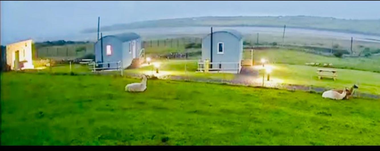 The Beautiful Lazy Llama Shepherd Hut Farm Stay Баллішаннон Екстер'єр фото